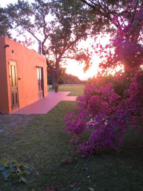 Vila La Casona De San Pedro Colonia del Sacramento Exteriér fotografie