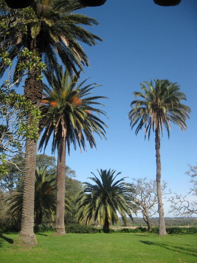 Vila La Casona De San Pedro Colonia del Sacramento Exteriér fotografie